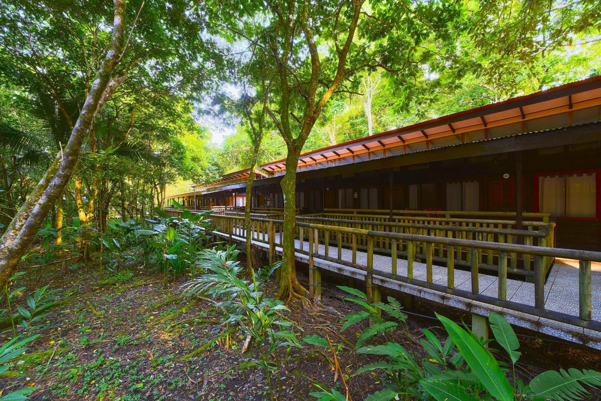 Evergreen Lodge Tortuguero Exterior photo