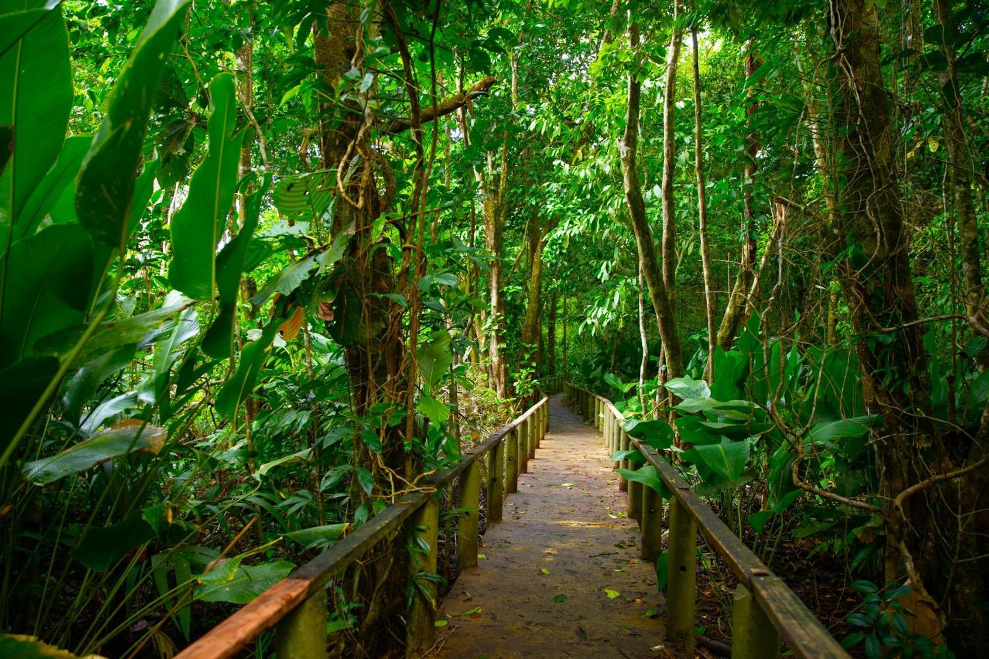Evergreen Lodge Tortuguero Exterior photo