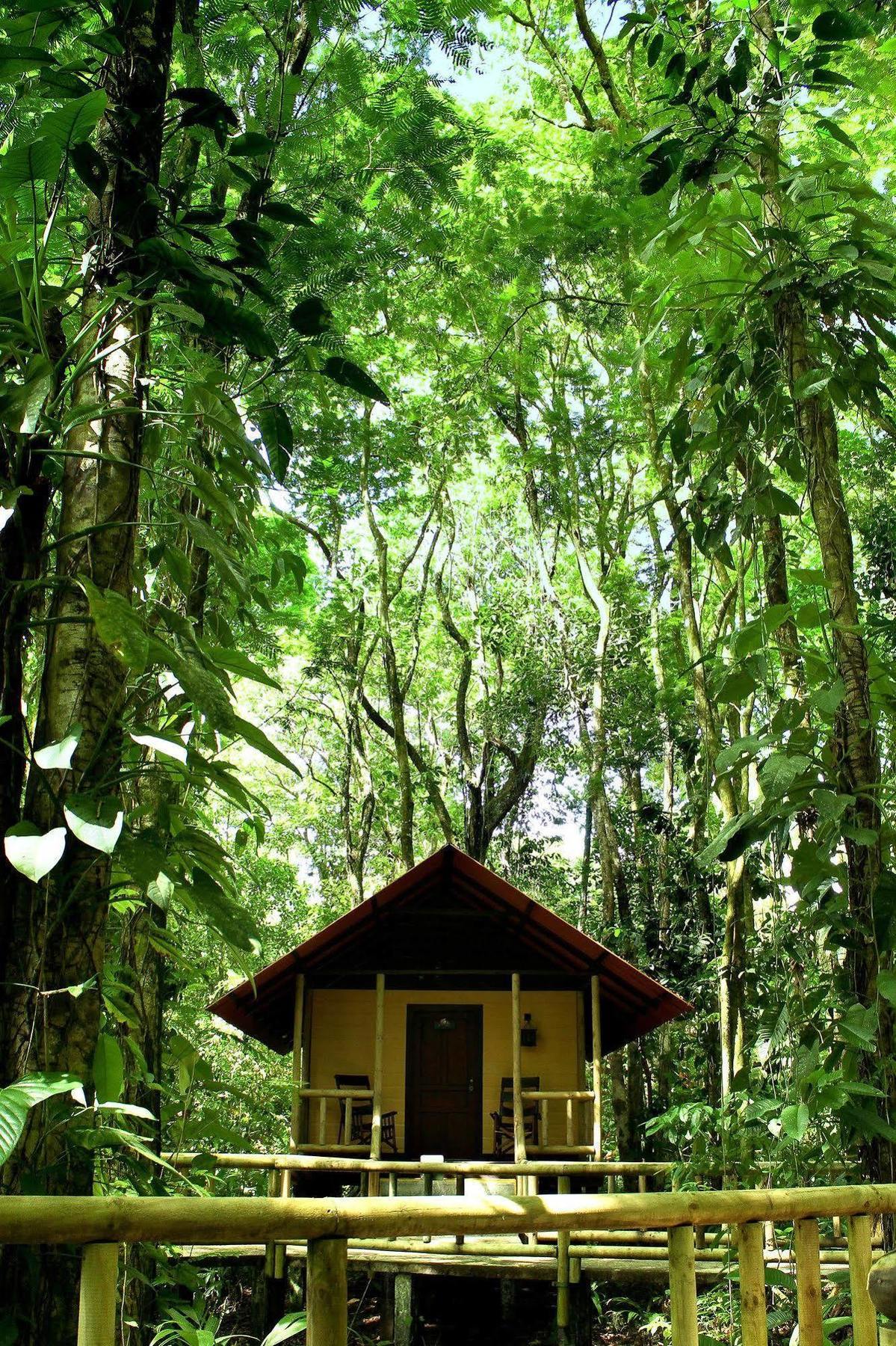 Evergreen Lodge Tortuguero Exterior photo